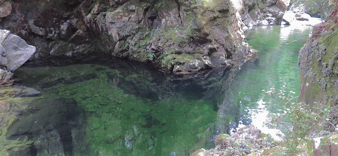 The water in the Taipo River is deep and clear. | Wangapeka Track, Kahurangi National Park