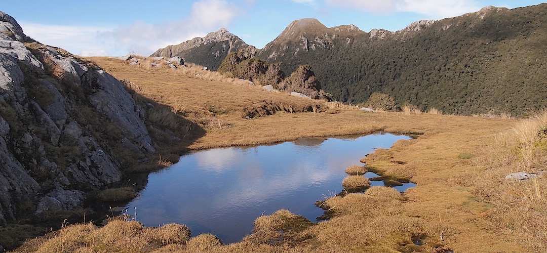 Tarn at the top of Little Wanganui Saddle, 1087m. | Wangapeka Track, Kahurangi National Park