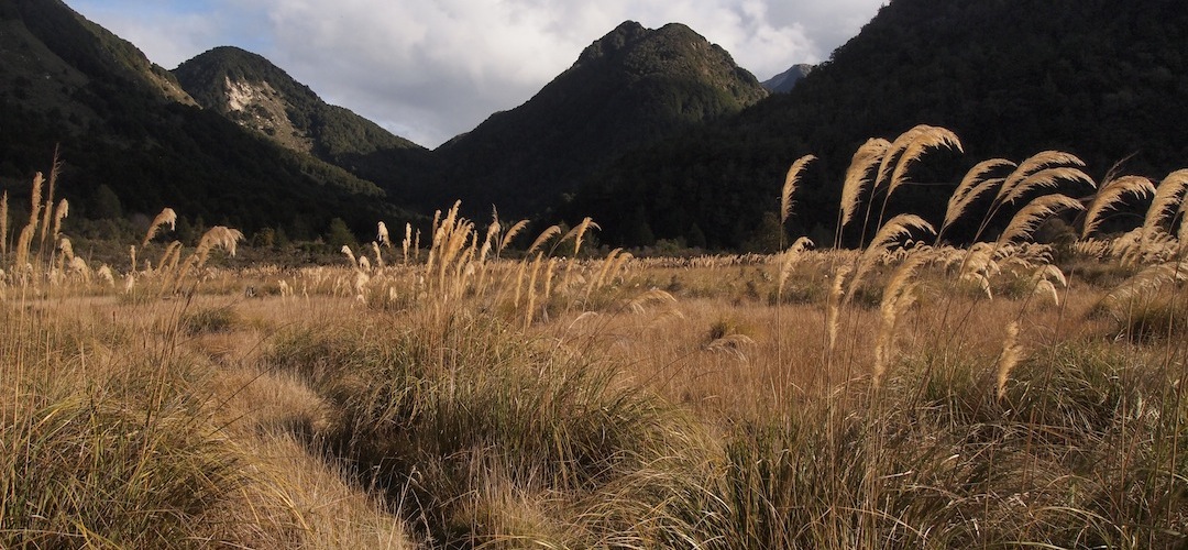 Karamea River near Trevor Carter Hut