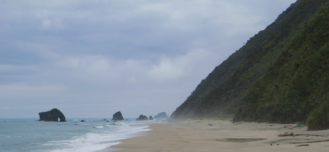 camping north of Porters Beach near Heaphy Track, Kahurangi National Park
