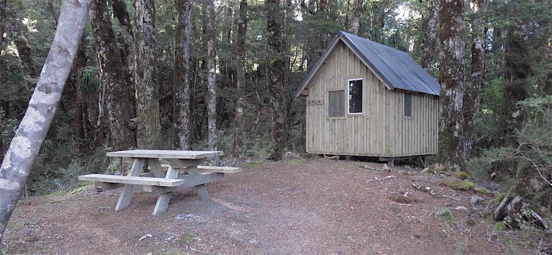 There's two uninsulated shelters, without adequate insect screening, in the forest. | Lyell Saddle sleepout, Lyell Range/Radiant Range Conservation Area