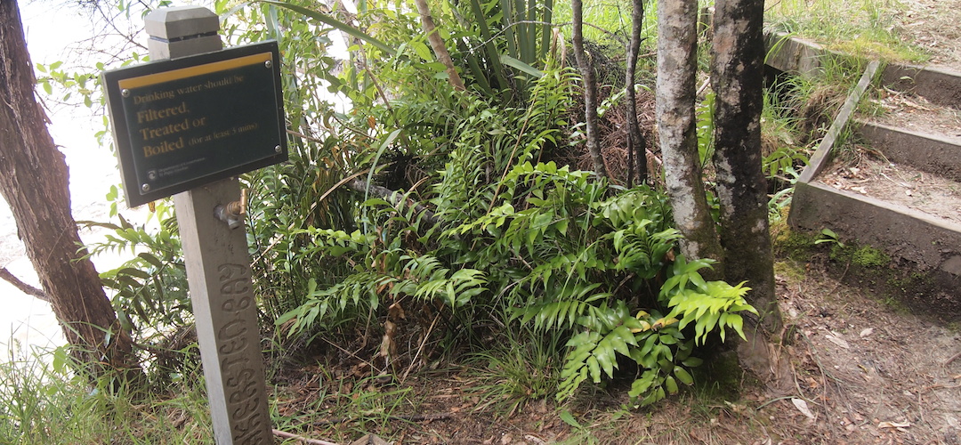 Akersten Bay campsite, Coastal Track, Abel Tasman National Park