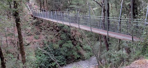 The suspension bridge over Lyell Creek, right at the southernmost point of the track. | Old Ghost Road, Lyell Range/Radiant Range Conservation Area