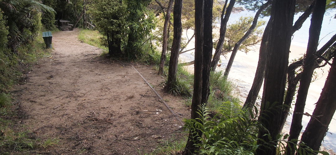 Akersten Bay campsite, Coastal Track, Abel Tasman National Park 2