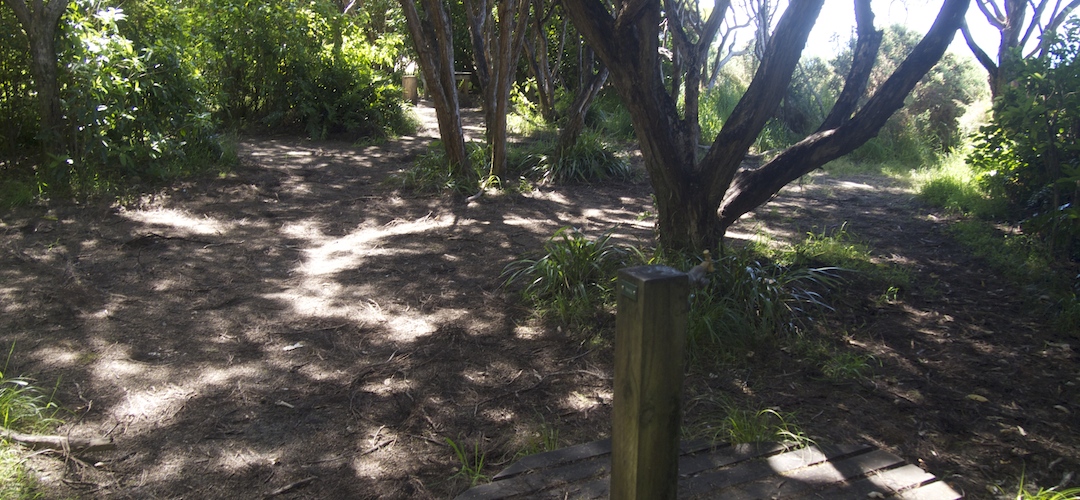 Anapai campsite, Coastal Track, Abel Tasman National Park 