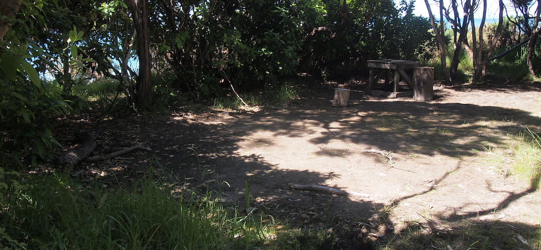 Anapai campsite, Coastal Track, Abel Tasman National Park 