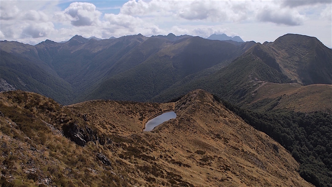 The Matiri Ridge and tarn from near Point 1398.  | Matiri Ridge route, Kahurangi National Park