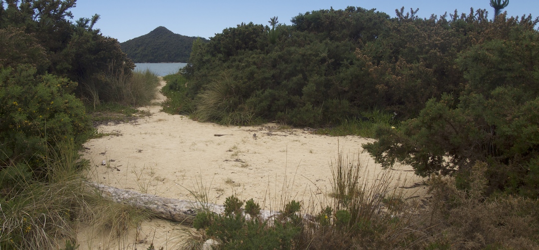 Appletree Bay campsite, Coastal Track, Abel Tasman National Park
