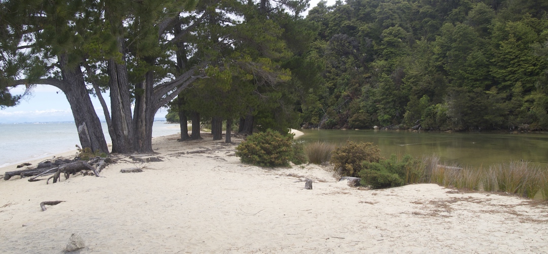Appletree Bay campsite, Coastal Track, Abel Tasman National Park