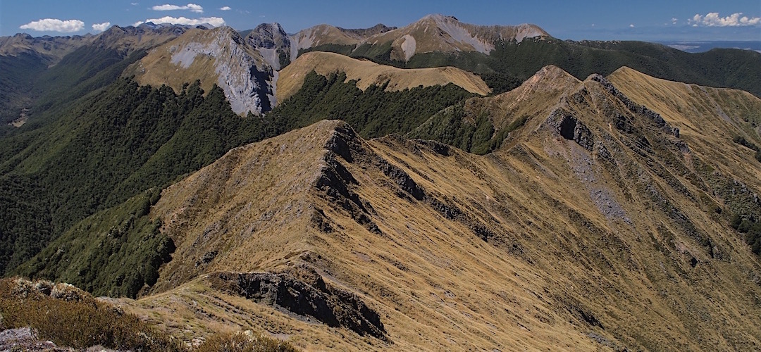 The Arthur Range on the way to Kiwi Saddle Hut, looking back towards John Tait Hut. | Kahurangi National Park