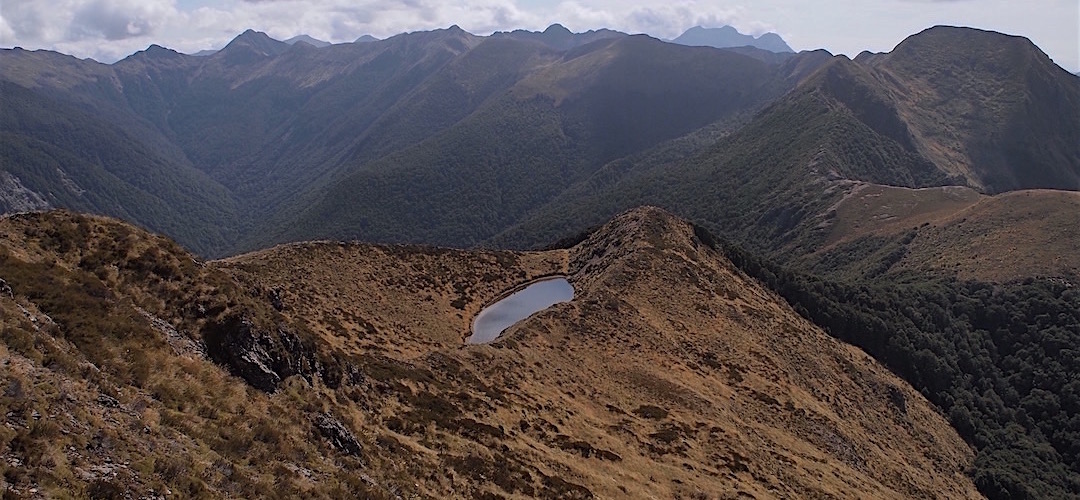 Leaving the tarn at Point 1398 on the Matiri Ridge and looking back to yesterday's efforts. | Kahurangi National Park