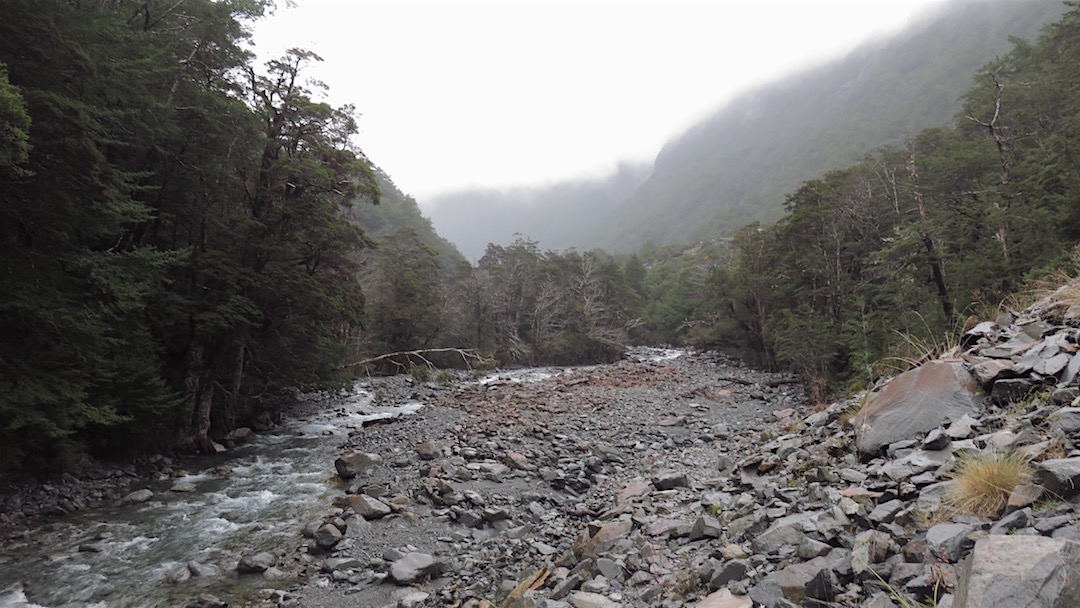 On the way up to Blue Lake in the rain. | Day 4, Nelson Lakes National Park