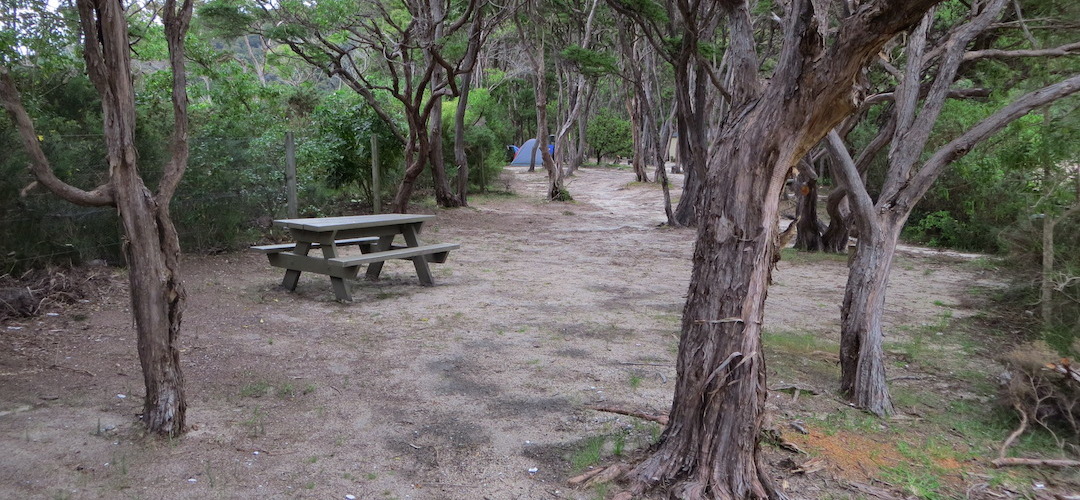 Bark Bay campsite, Coastal Track, Abel Tasman National Park