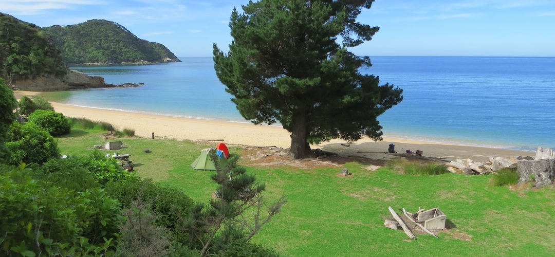 Mutton Cove campsite, Coastal Track, Abel Tasman National Park