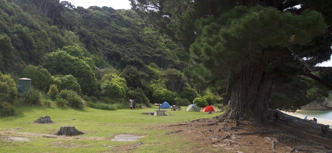 Mutton Cove campsite, Coastal Track, Abel Tasman National Park
