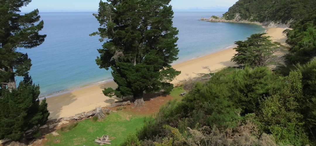  Mutton Cove campsite, Coastal Track, Abel Tasman National Park