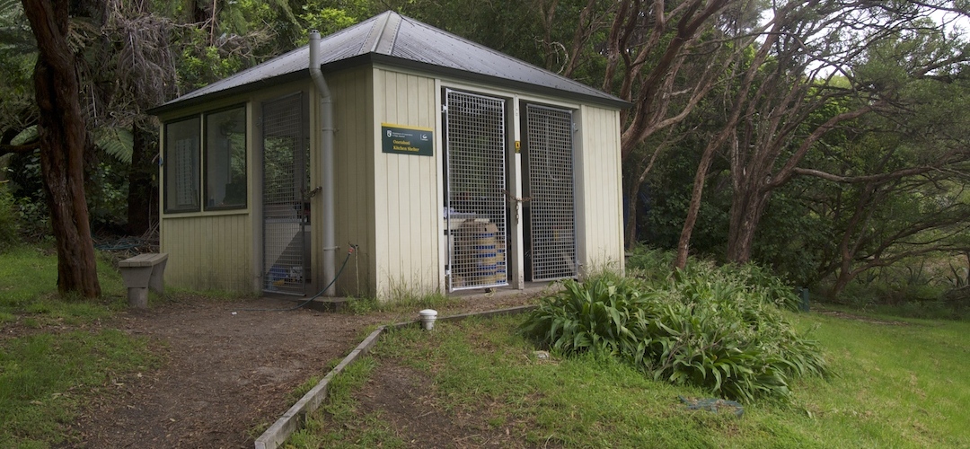 kitchen Onetahuti campsite, Coastal Track, Abel Tasman National Park