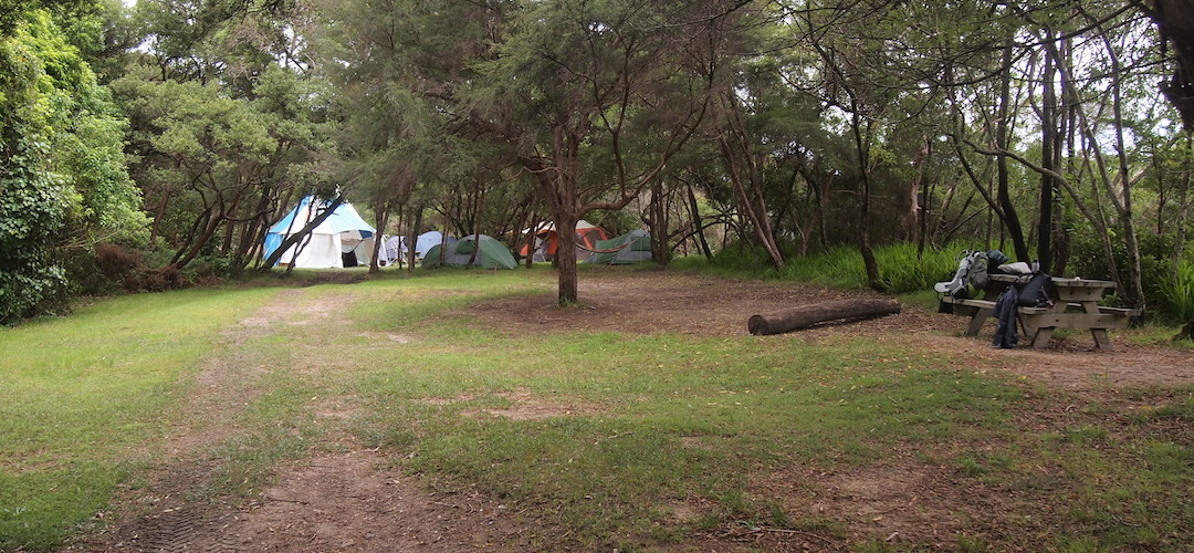 Onetahuti campsite, Coastal Track, Abel Tasman National Park