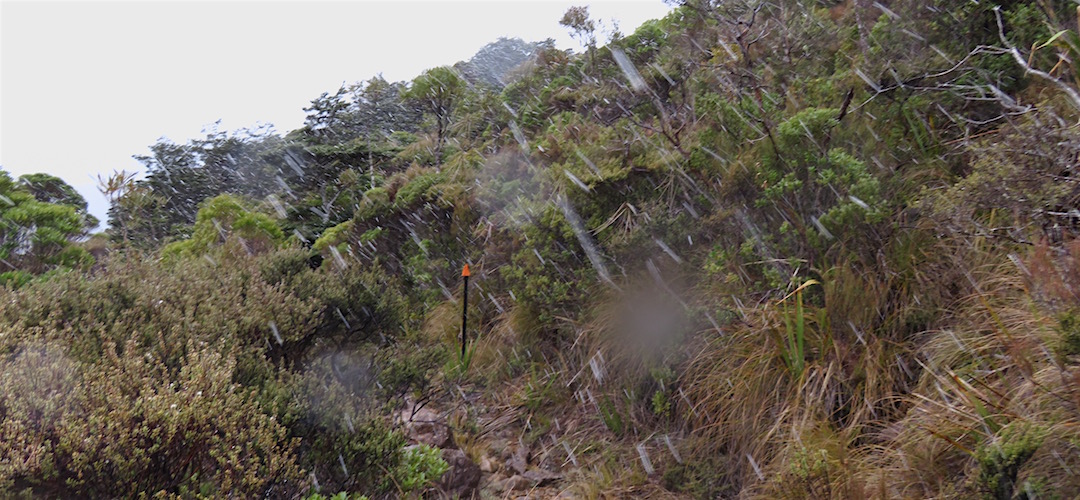 Day 1. Walking up to Dun Saddle it started to snow, big flakes. | winter trip, Alpine Route, Mt Richmond Forest Park
