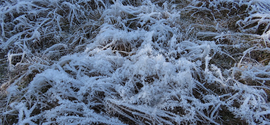 Day 7. Frost in the Goulter River valley. | winter trip, Alpine Route, Mt Richmond Forest Park