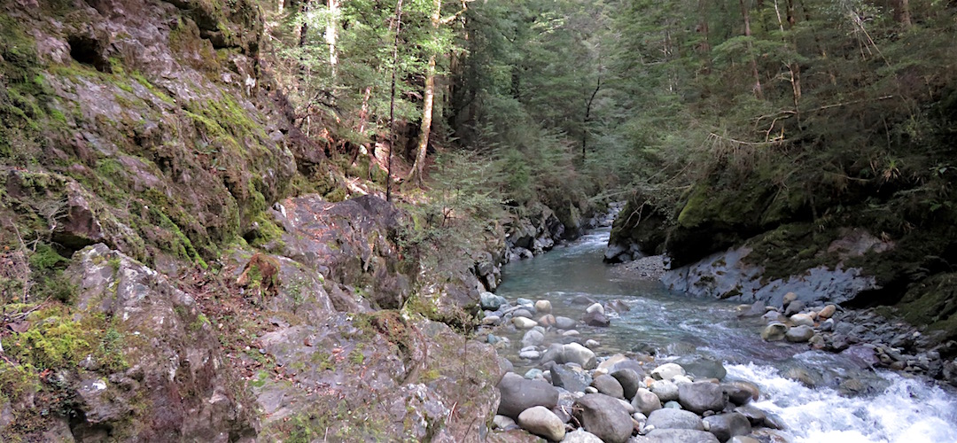 Day 9. Some scrambling on slippery rocks on the way up to Top Wairoa Hut in the Wairoa River valley. | winter trip, Alpine Route, Mt Richmond Forest Park