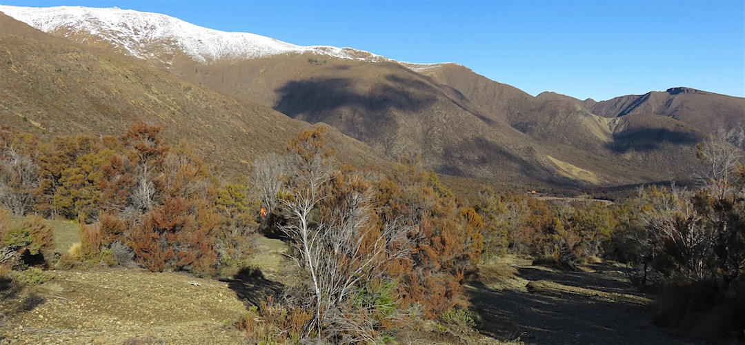 Day 13. That's Porters Creek Hut, the orange dot in the distance. | winter trip, Alpine Route, Mt Richmond Forest Park