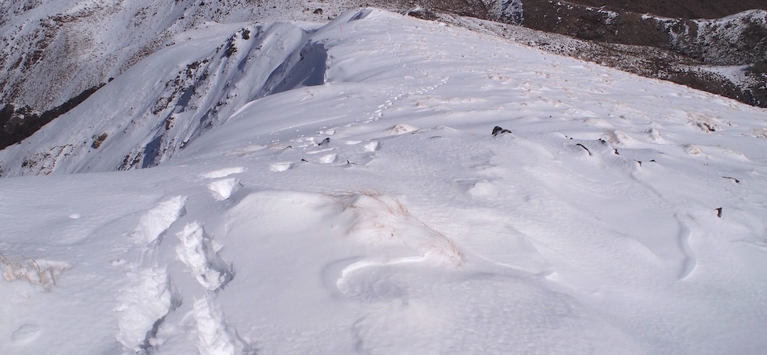 Wet snow can really slow you down and cause considerable extra effort.| near Hunters Hut, Mt Richmond Forest Park