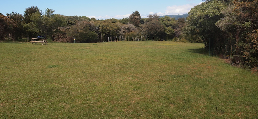 Tinline campsite, Coastal Track, Abel Tasman National Park