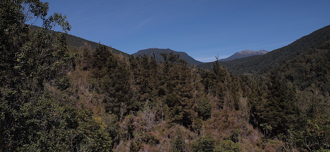 Mt Royal, centre, and Mt Fishtail from the valley floor. | Wakamarina Track, Mt Richmond Forest Park