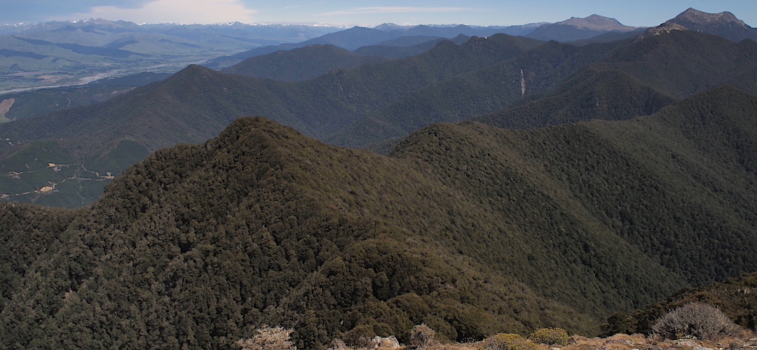View along the ridge from Mt Baldy. Mt Royal is in front of Mt Fishtail, right, and a bare looking Mt Richmond