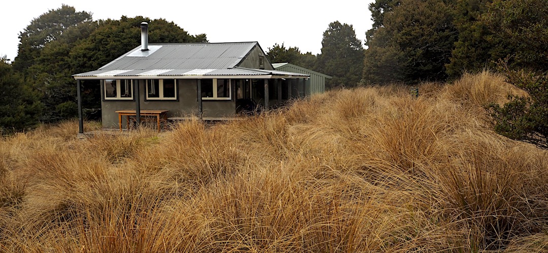 Balloon Hut is sheltered by the beech trees. | Balloon Hut, Kahurangi National Park