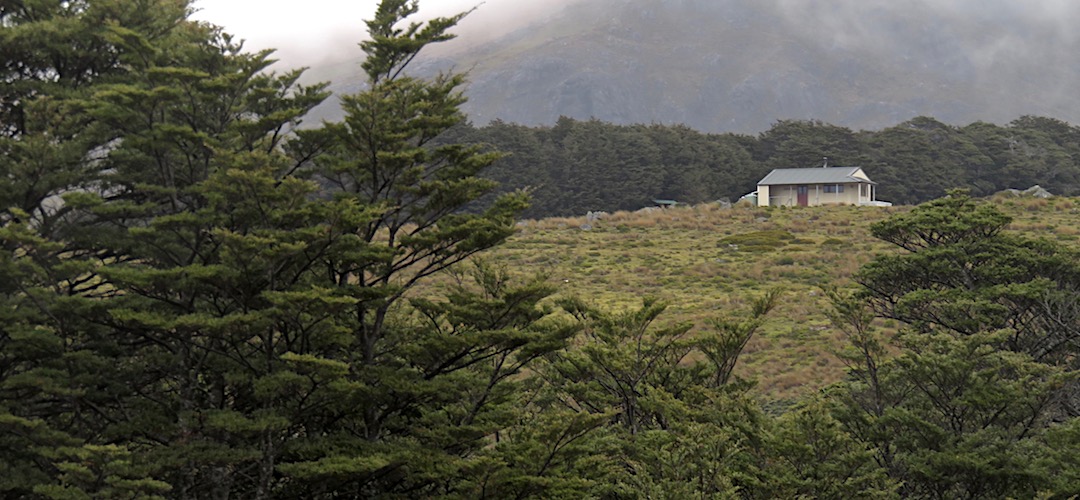Hey!! There's the hut up ahead!! | Sylvester Hut, Kahurangi National Park