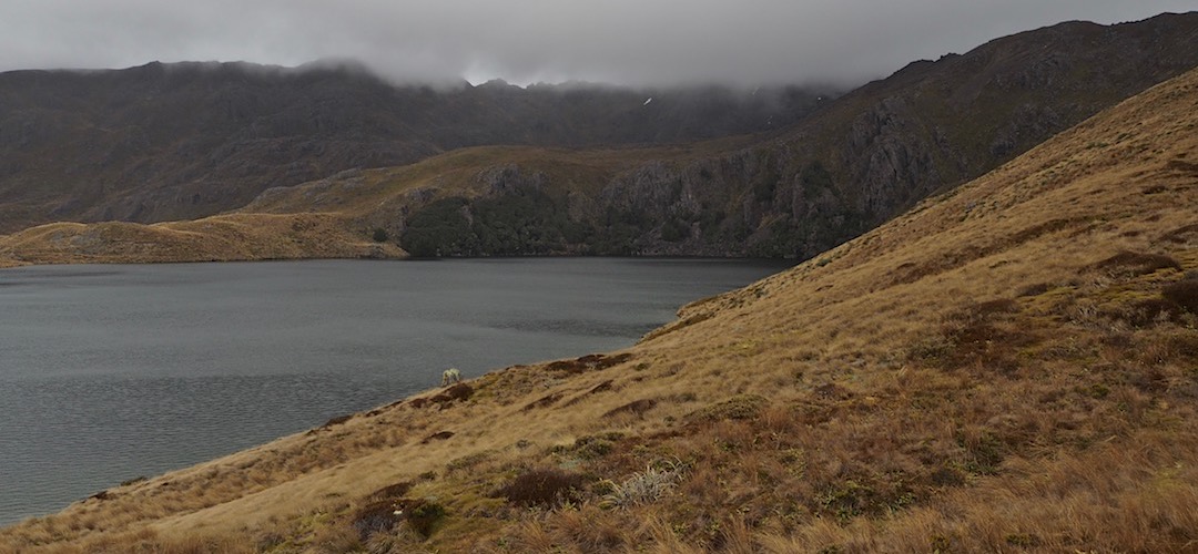 Lake Sylvester with the windchill factor way up. | Sylvester/Balloon trip, November 2016