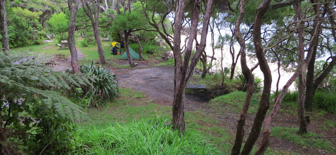 Tonga Quarry campsite, Coastal Track, Abel Tasman National Park
