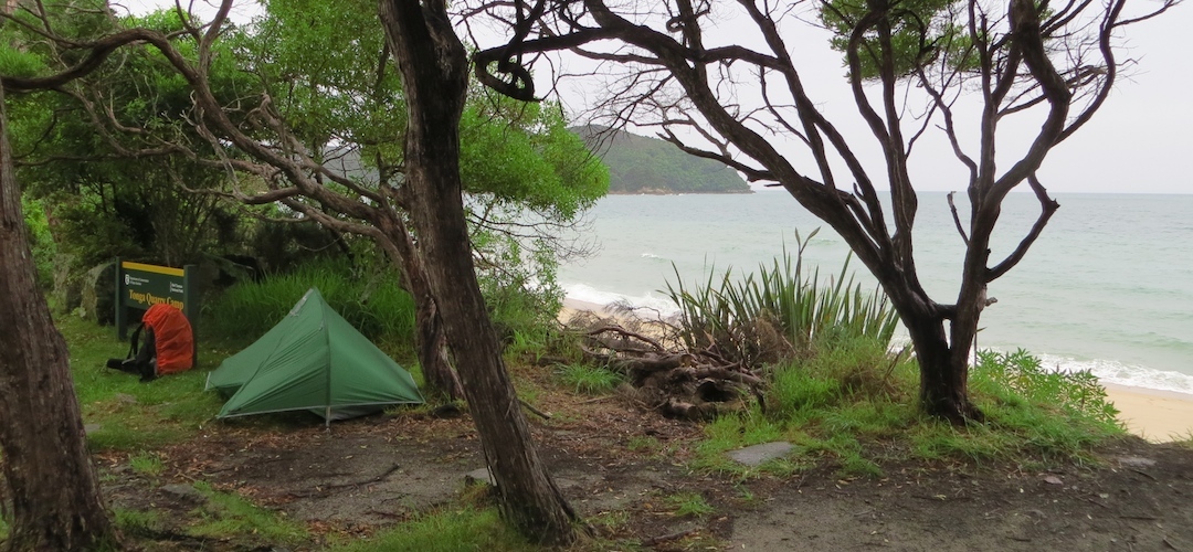 Tonga Quarry campsite, Coastal Track, Abel Tasman National Park