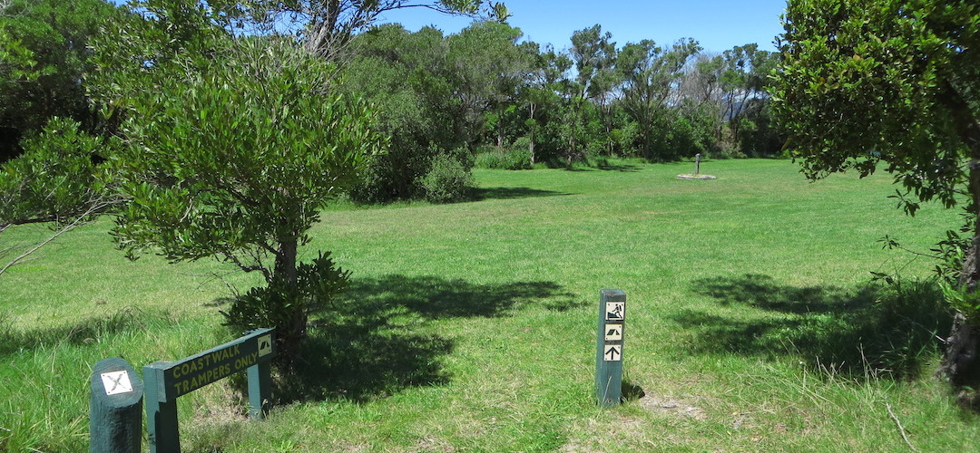 Totaranui campsite, Coastal Track, Abel Tasman National Park