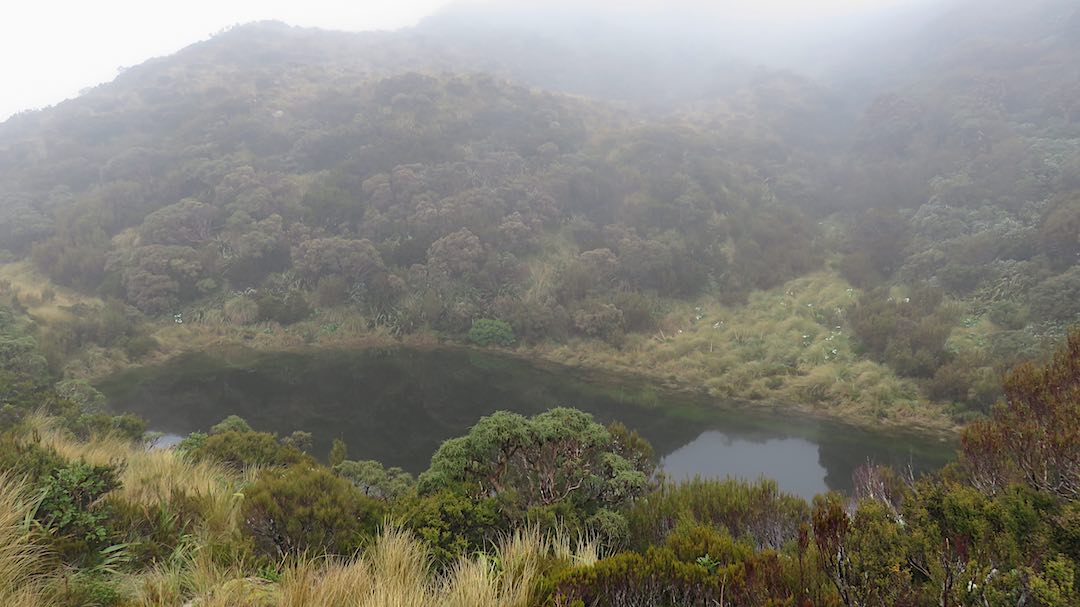 Tarn at Crystal Bivvy in the fog/low cloud. |  Frew/Toaroha Saddles, Westland