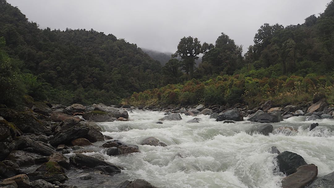 Toaroha River in semi-flood. Bigger than it looks. |  Frew/Toaroha Saddles, Westland