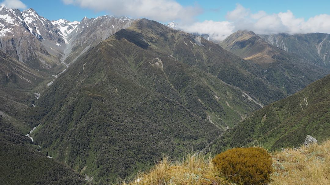 Looking up Sir Robert Creek and Bluff Hut on right. From Toaroha Saddle. |  Frew/Toaroha Saddles, Westland