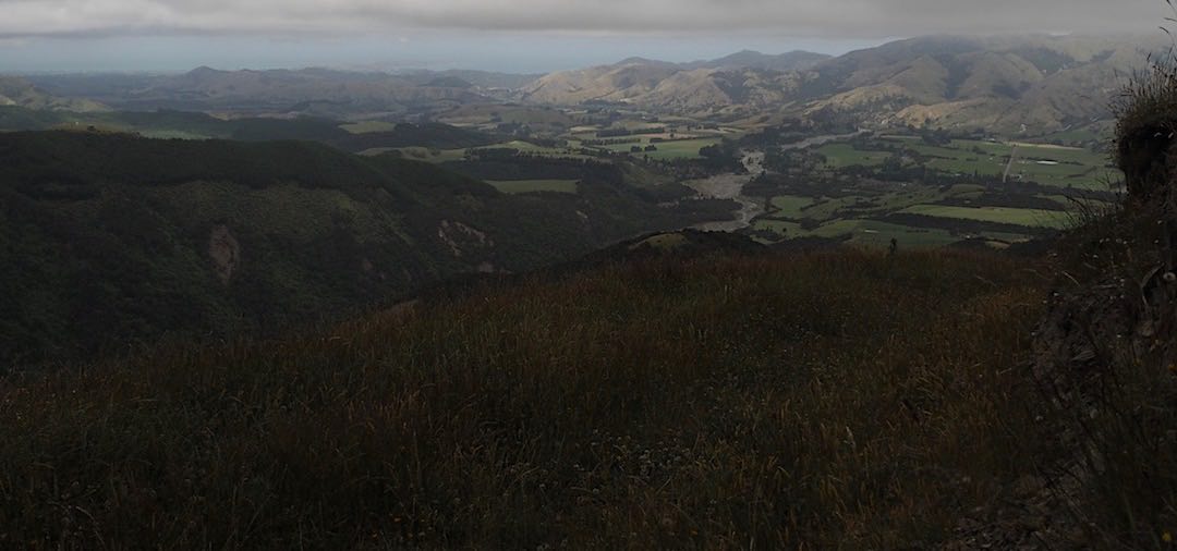 About to realise I've climbed to 700 m on the wrong track. | Kaikoura to Boyle Village