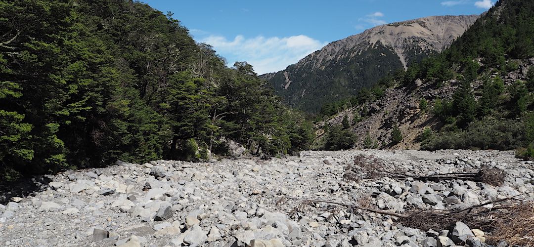 Trundling down the Gordon River. | Kaikoura to Boyle Village