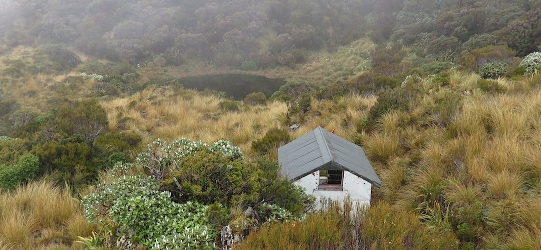 Crystal Biv with the nearby tarn. | Crystal Bivvy, Toaroha River, West Coast