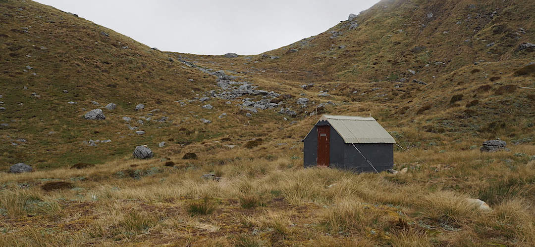 The bivvy isn't far away from the saddle. | Frew Saddle Bivvy, Frew Creek, West Coast