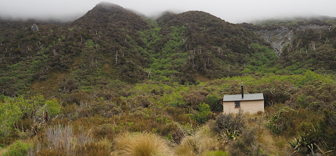 Looks lonely here, because it probably is. | Top Toaroha Hut, Toaroha River, West Coast