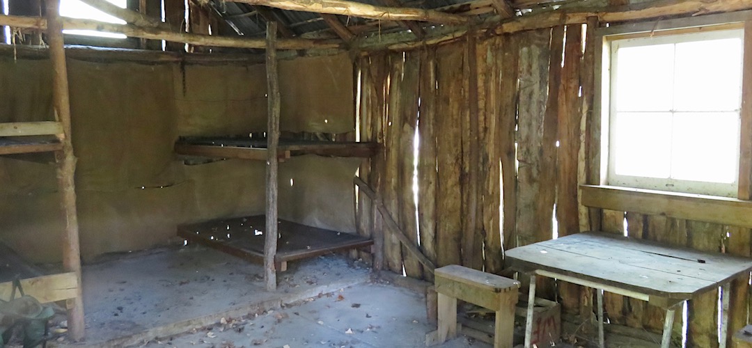 This once had many more bunks. No mattresses any more. | Black Spur Hut, Seymour Stream