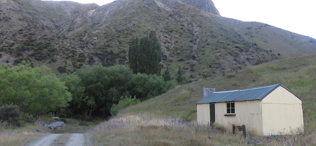 The old hut is right next to the road. | Bluff Dump Hut, Seymour Stream