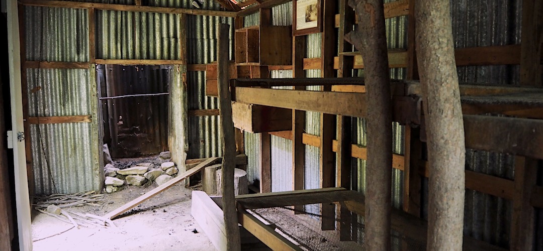 Not for habitation, just for a historic record. | Tent Poles Hut, Seymour Creek