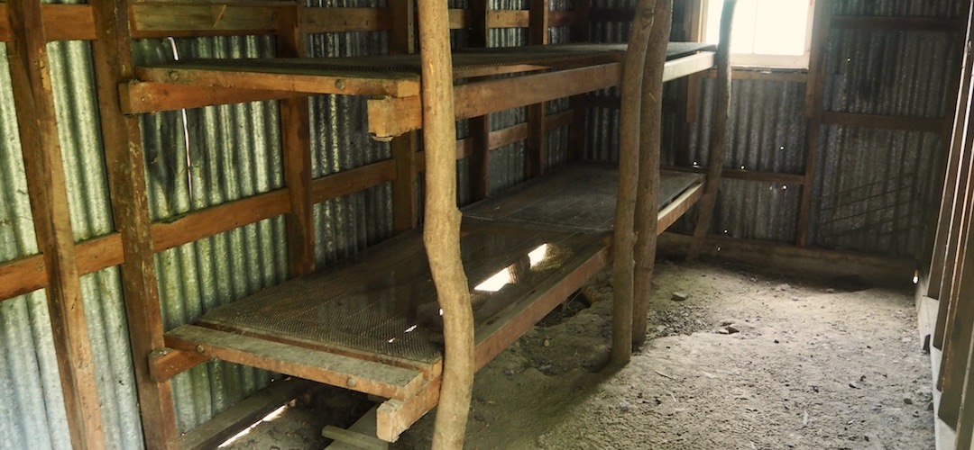 Those bunks aren't meant for sleeping in any more. There used to be 10 bunks in here once. | Tent Poles Hut, Seymour Creek