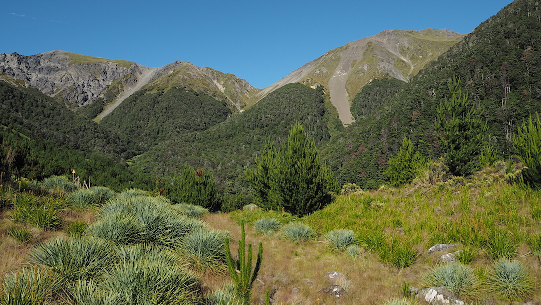 You follow up the ridge to Severn Saddle, in the centre. | Leatham Molesworth route, Marlborough