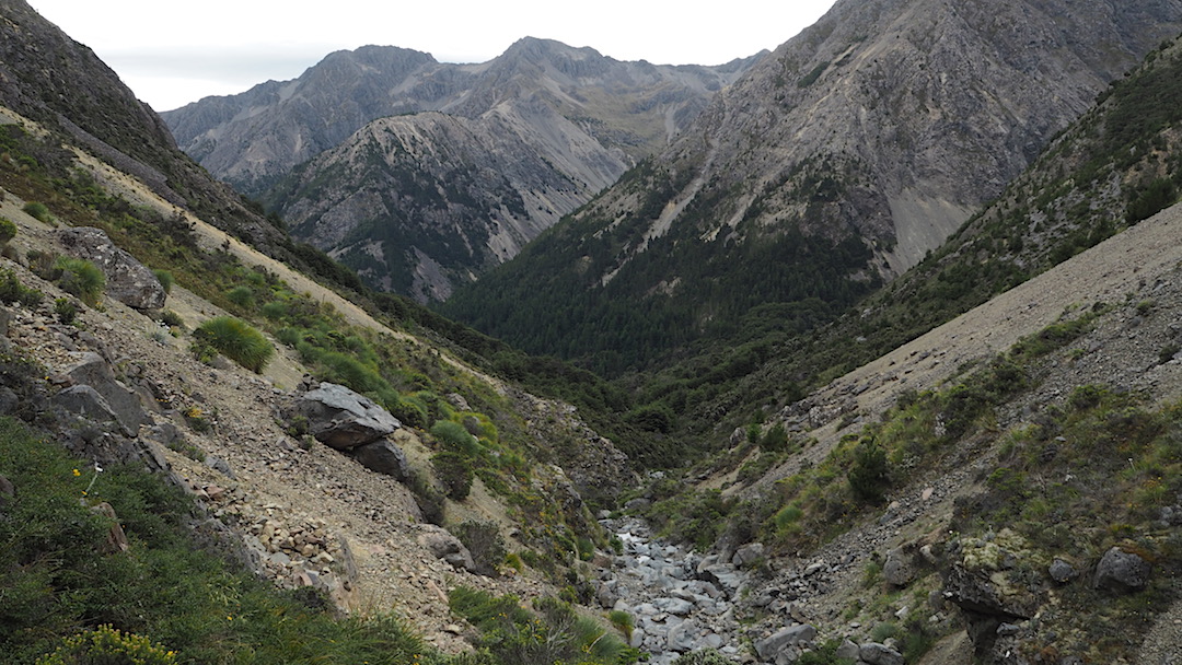 Sidling steep scree slopes in top of Gordon Stream. Conifers abound. | Leatham Molesworth route, Marlborough